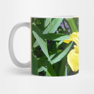 Iris Mug